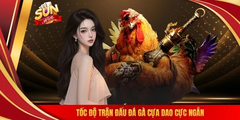 Tốc độ trận đấu đá gà cựa dao cực ngắn