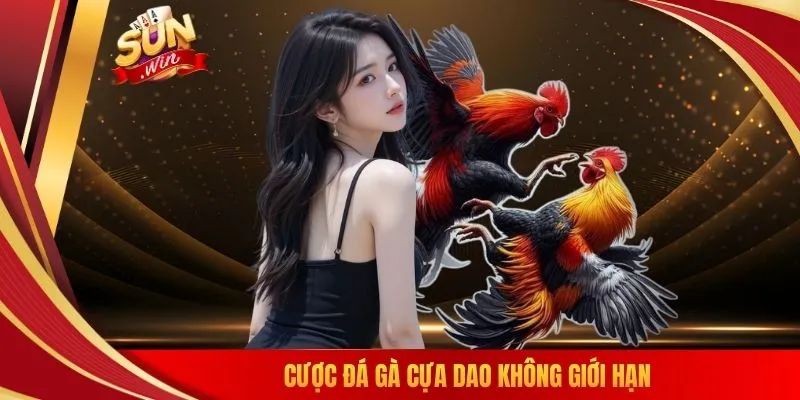 Cược đá gà cựa dao không giới hạn