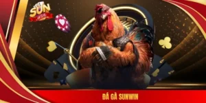 Đá gà SUNWIN
