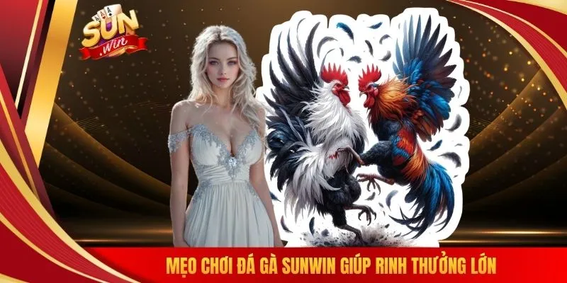 Mẹo chơi đá gà SUNWIN giúp rinh thưởng lớn