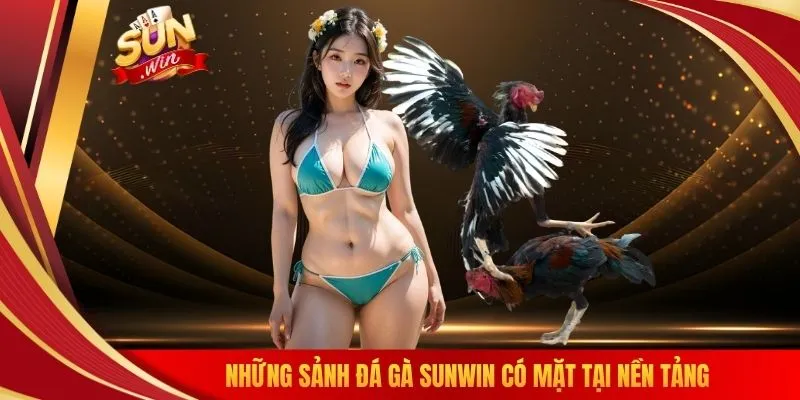 Những sảnh đá gà SUNWIN có mặt tại nền tảng
