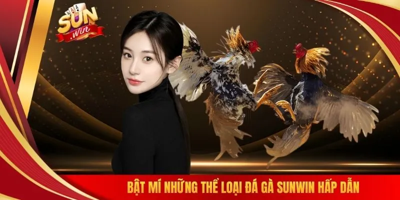 Bật mí những thể loại đá gà SUNWIN hấp dẫn