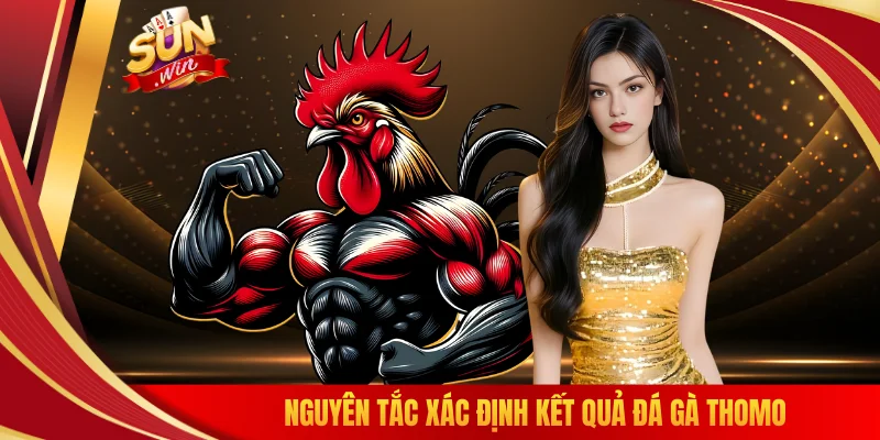 Nguyên tắc xác định kết quả đá gà Thomo