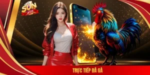 Trực tiếp đá gà