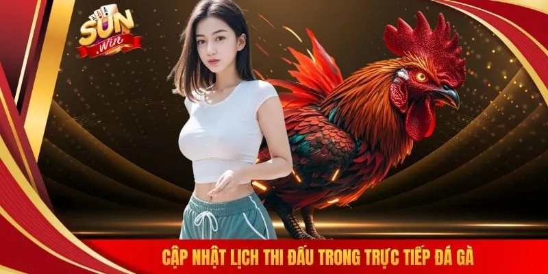 Cập nhật lịch thi đấu trong trực tiếp đá gà